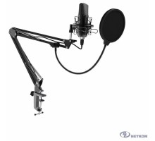 Микрофон Ritmix RDM-169
