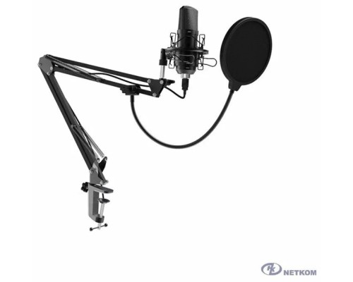 Микрофон Ritmix RDM-169