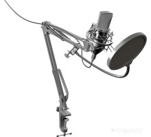 Микрофон Ritmix RDM-169