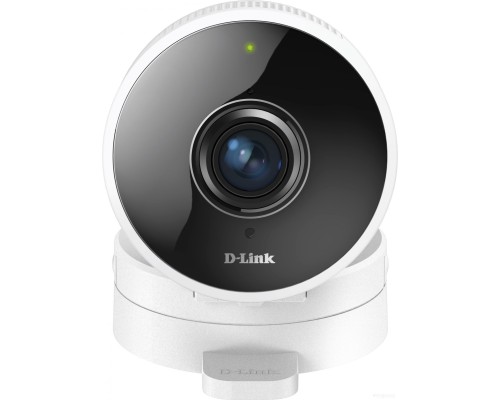 IP-камера D-LINK DCS-8100LH/A1A