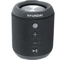 Портативная акустика Hyundai H-PAC300