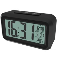 Наручные часы Ritmix CAT-100 (черный)
