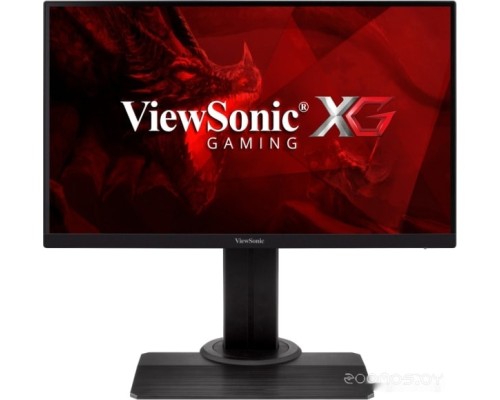 Монитор Viewsonic XG2405