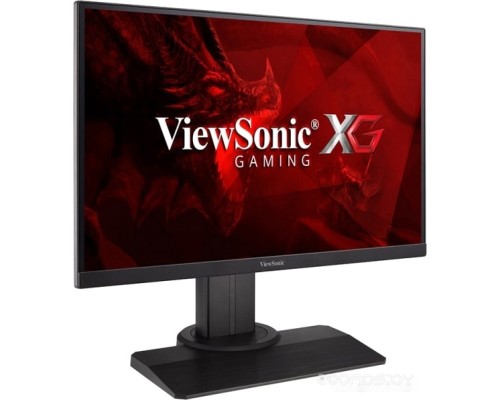 Монитор Viewsonic XG2405