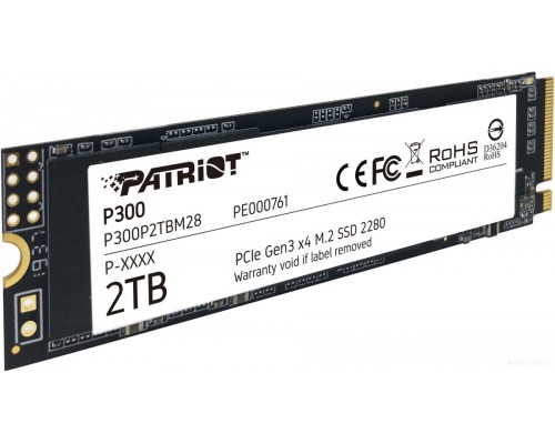 SSD Patriot P300 2TB P300P2TBM28