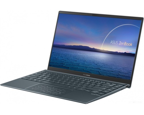 Ноутбук Asus ZenBook 14 UX425JA-BM042T