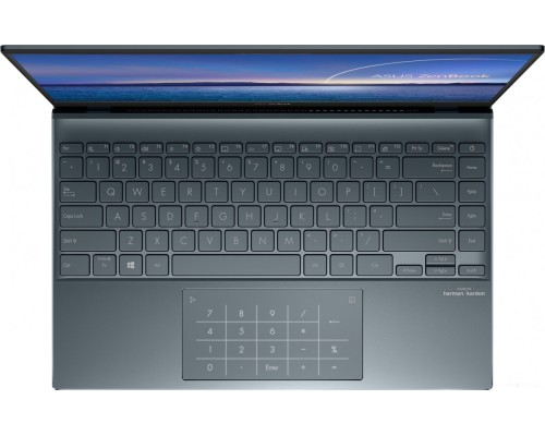 Ноутбук Asus ZenBook 14 UX425JA-BM042T