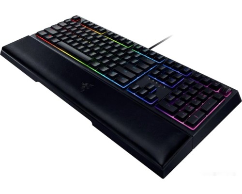 Клавиатура RAZER Ornata V2