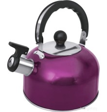 Чайник со свистком HOME-ELEMENT HE-WK1602 (фиолетовый чароит)