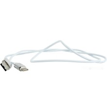 Кабель Cablexpert CC-USB2-AMUCMM-1M