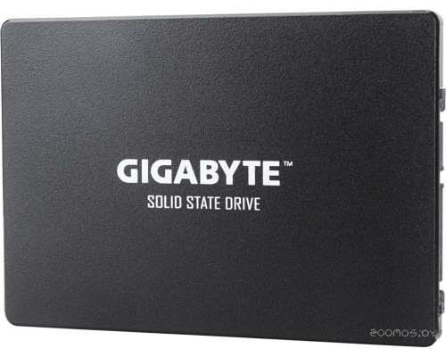 SSD Gigabyte 1TB GP-GSTFS31100TNTD