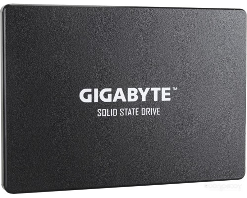 SSD Gigabyte 1TB GP-GSTFS31100TNTD