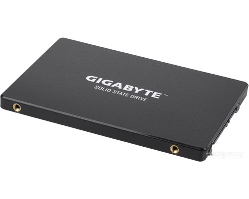 SSD Gigabyte 1TB GP-GSTFS31100TNTD