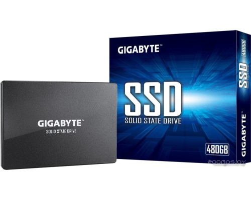 SSD Gigabyte 1TB GP-GSTFS31100TNTD