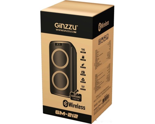 Музыкальный центр Ginzzu GM-212