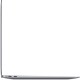 Ноутбук Apple MacBook Air 13.3 (Z1240004J)