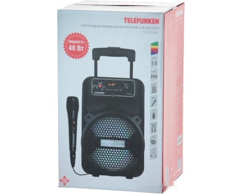 Музыкальный центр Telefunken TF-PS2301