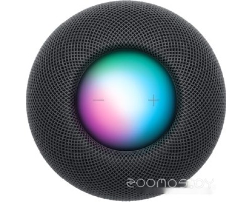 Умная колонка Apple HomePod Mini (серый космос)