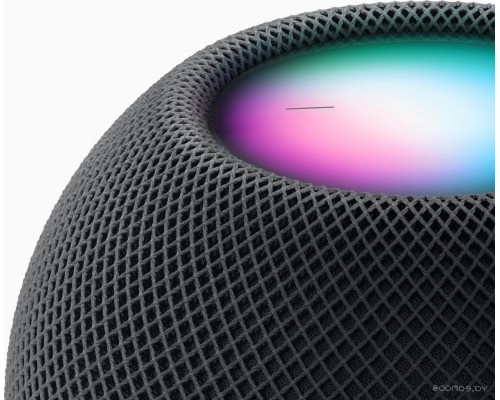 Умная колонка Apple HomePod Mini (серый космос)