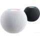 Умная колонка Apple HomePod Mini (серый космос)