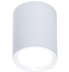 Точечный светильник Ambrella light Techno Spot TN215 WH/S