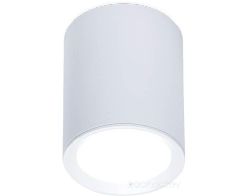 Точечный светильник Ambrella light Techno Spot TN215 WH/S