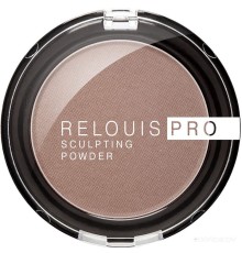 Скульптор Relouis Скульптор Pro Sculpting Powder Universal 01