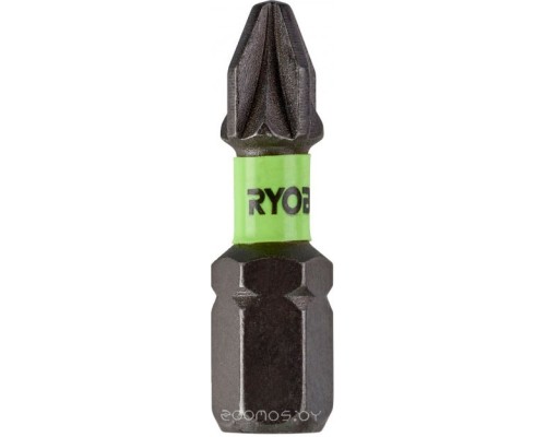 Набор бит Ryobi RISD25PZ2TT