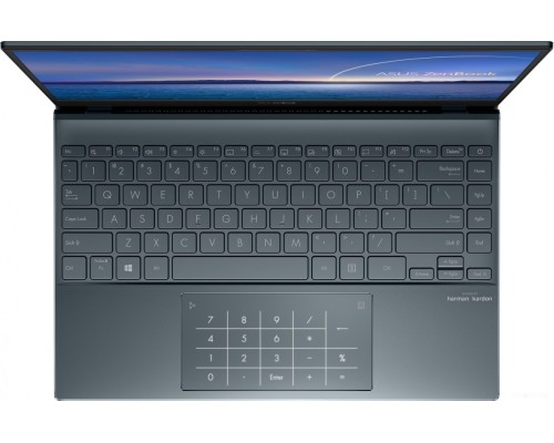 Ноутбук Asus ZenBook 13 UX325EA-KG262