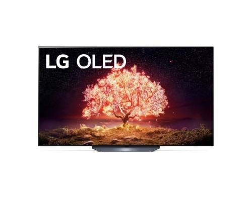 Телевизор LG OLED65B1RLA