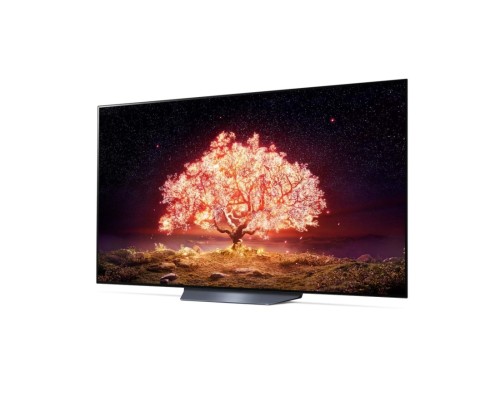 Телевизор LG OLED65B1RLA