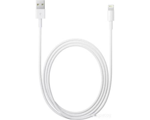 Кабель Apple Lightning/USB (1 м) MXLY2ZM/A