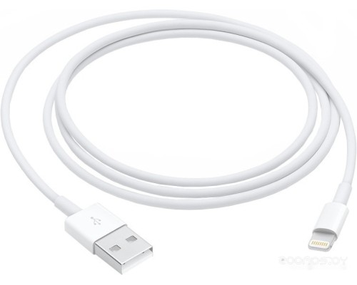 Кабель Apple Lightning/USB (1 м) MXLY2ZM/A