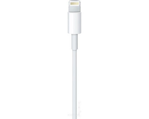 Кабель Apple Lightning/USB (1 м) MXLY2ZM/A