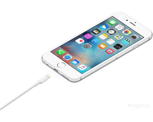 Кабель Apple Lightning/USB (1 м) MXLY2ZM/A