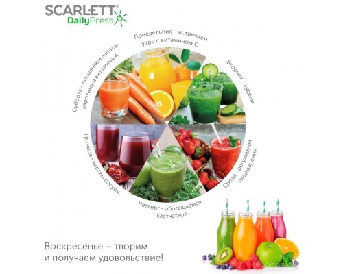 Соковыжималка Scarlett SC-JE50S57