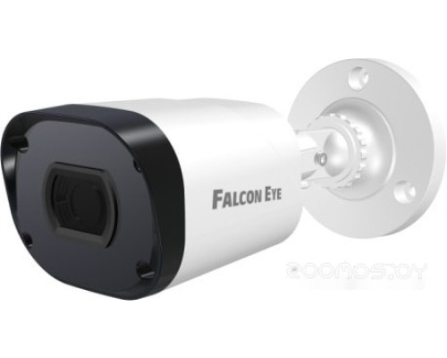 IP-камера Falcon Eye FE-IPC-B2-30p