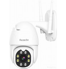 IP-камера Falcon Eye Patrul