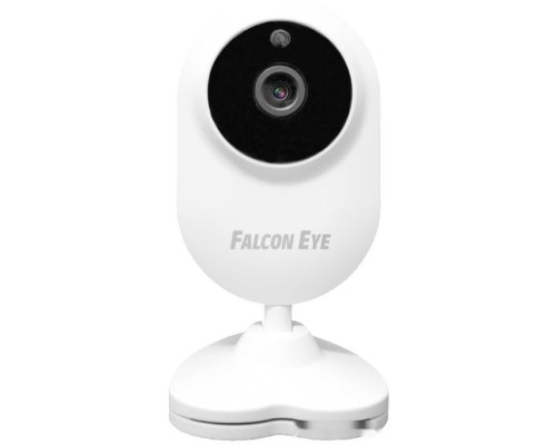 IP-камера Falcon Eye Spaik 1