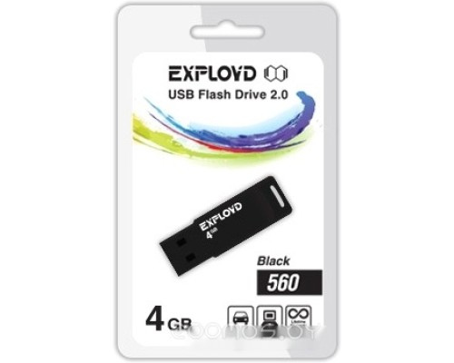 USB Flash Exployd 560 4GB (черный) [EX-4GB-560-Black]