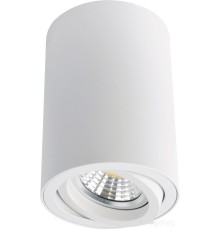 Точечный светильник Arte Lamp Sentry A1560PL-1WH