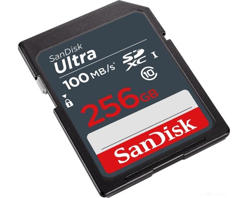 Карта памяти SanDisk Ultra SDXC SDSDUNR-256G-GN3IN 256GB