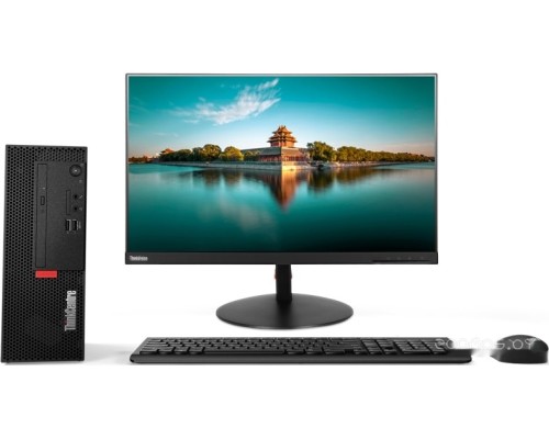 Компьютер Lenovo ThinkCentre M720e SFF 11BD006RRU