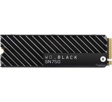 SSD Western Digital Black SN750 1TB WDS100T3XHC