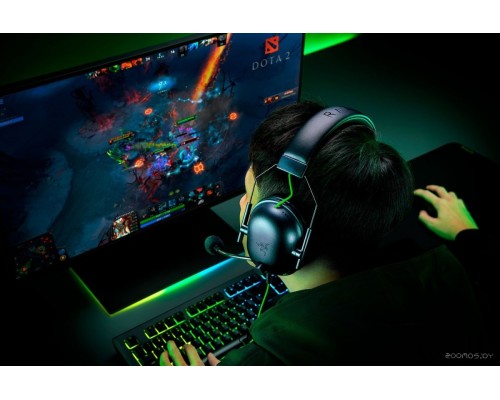 Наушники RAZER BlackShark V2 X (черный)