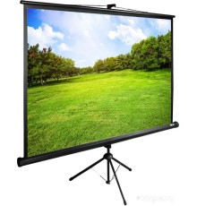 Проекционный экран Cactus TriExpert 220x220 CS-PSTE-220х220-BK