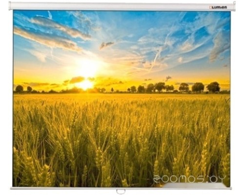 Проекционный экран Lumien Eco Picture 178x280 LEP-100124