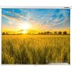 Проекционный экран Lumien Eco Picture 178x280 LEP-100124