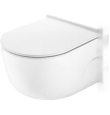 Унитаз Roca Meridian 34624L000+801C4200U