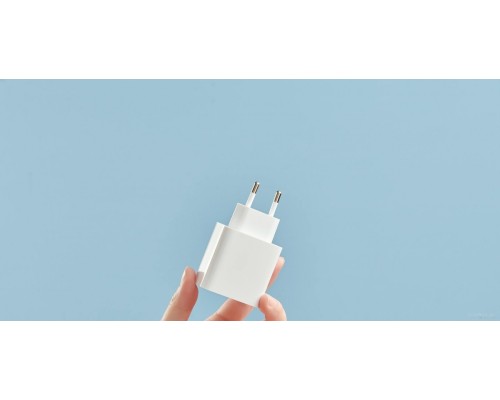 Сетевое зарядное Xiaomi Mi 33W Wall Charger